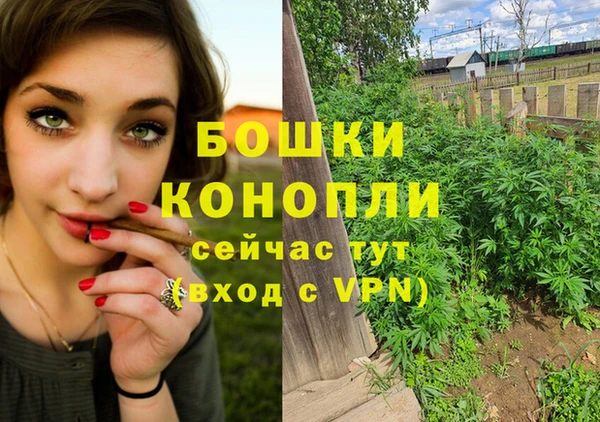 прущие грибы Корсаков
