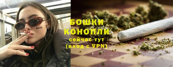 прущие грибы Корсаков