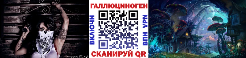 Купить  Энем  Псилоцибиновые грибы MAGIC MUSHROOMS 